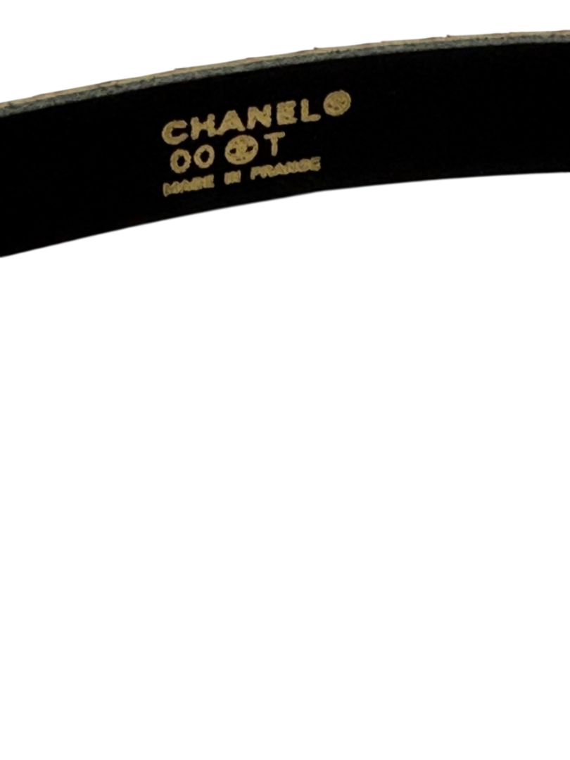Chanel Multicolor Python Skinny Belt – Size 85/34