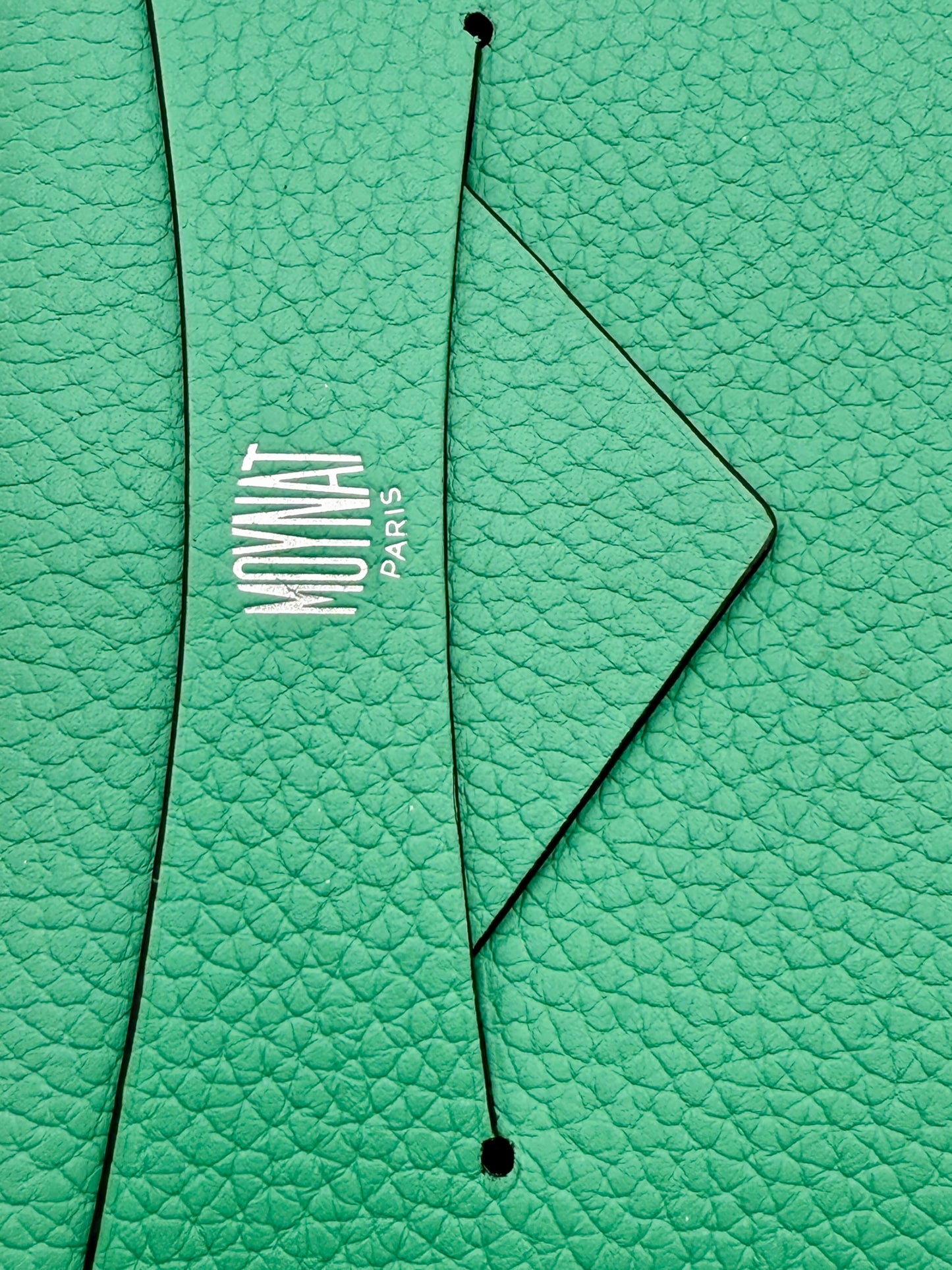 NWT Moynat Taurillon Gex Envelope Passport Holder