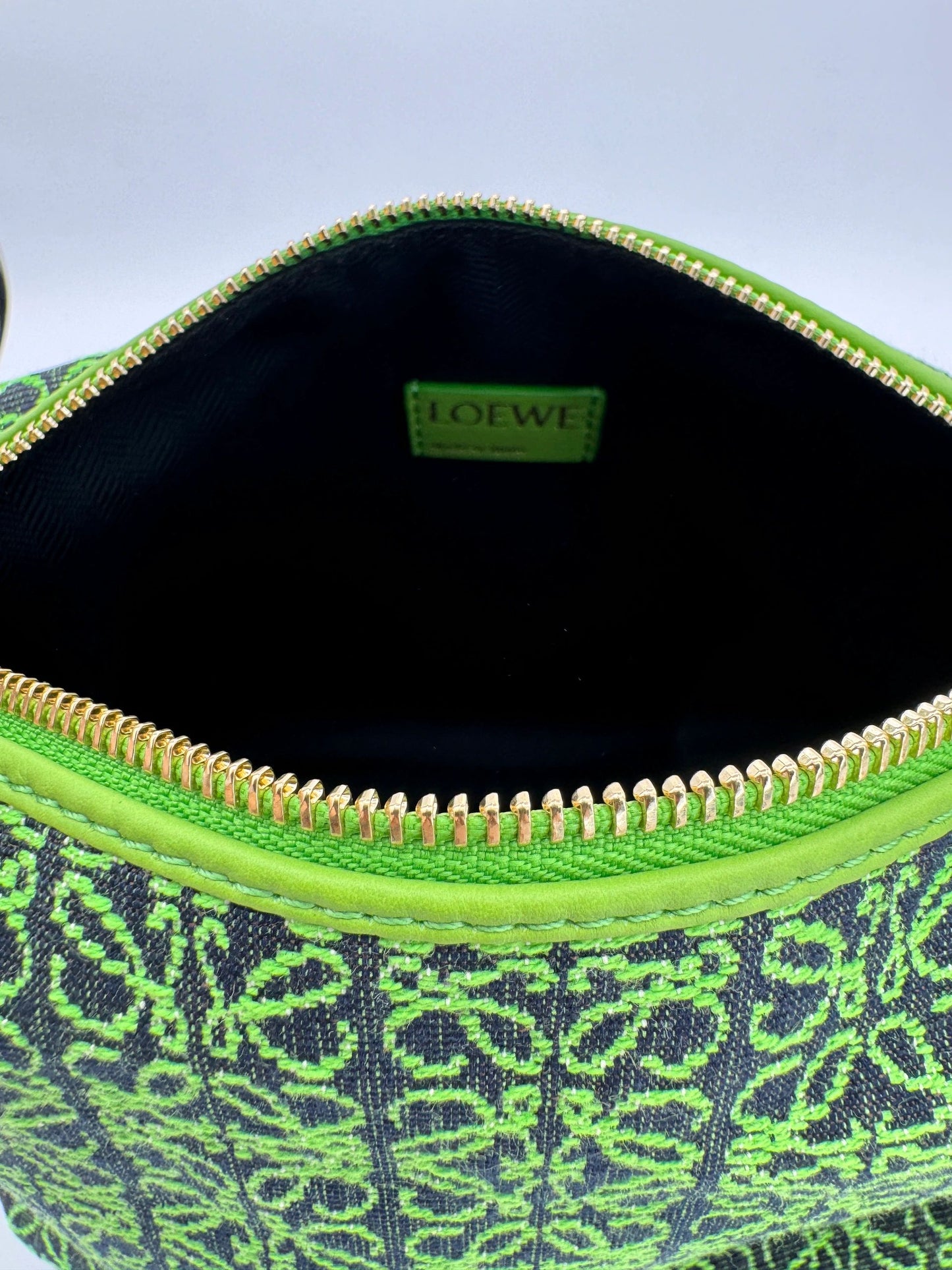 LOEWE Jacquard Anagram Calfskin Small Cubi Bag Apple Green