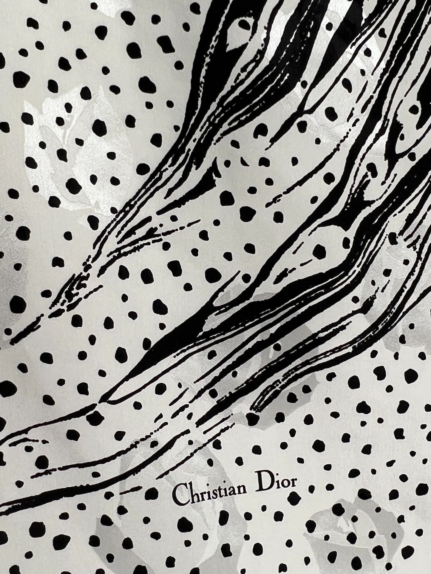 Christian Dior Shawl